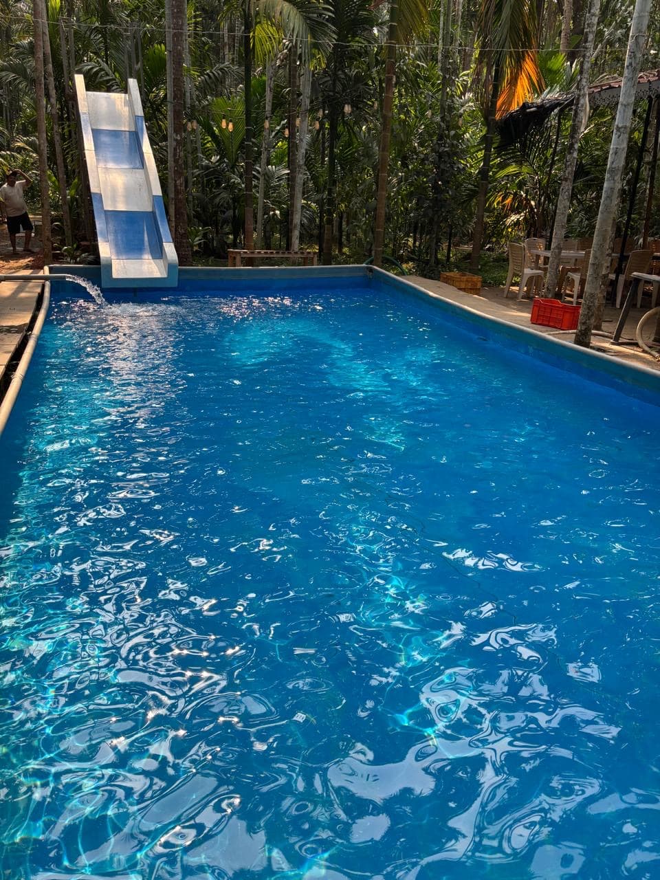 Swimming pool at Farm Areca De Goa in Bicholim