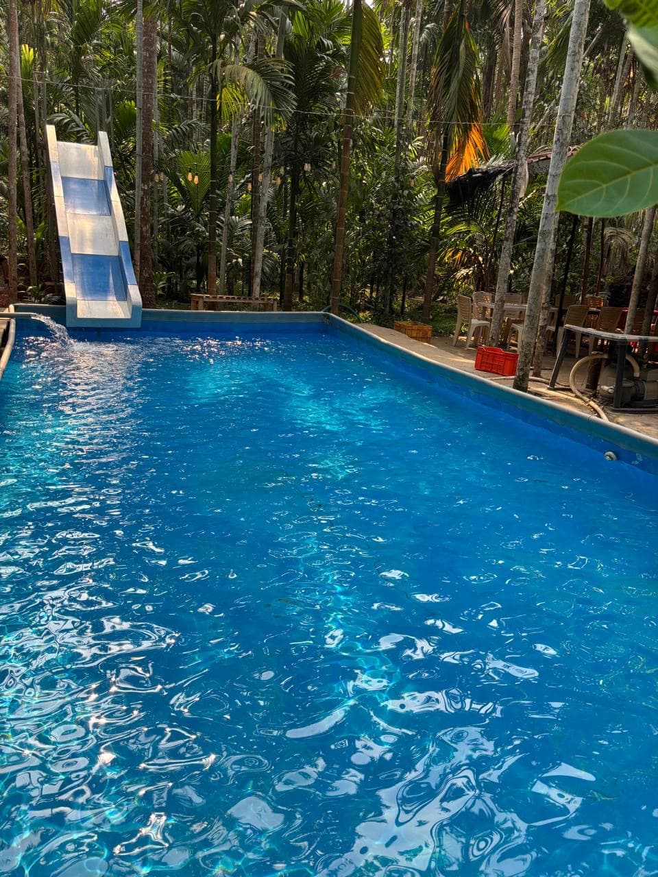 Pool area at the Adwalpale farm in North Goa