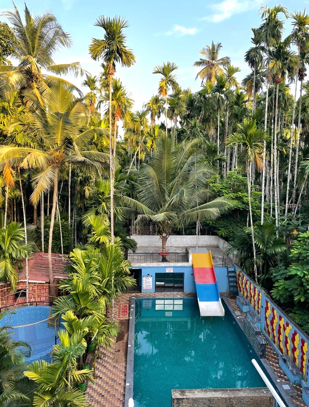 Farm Areca De Goa swimming pool in Bicholim