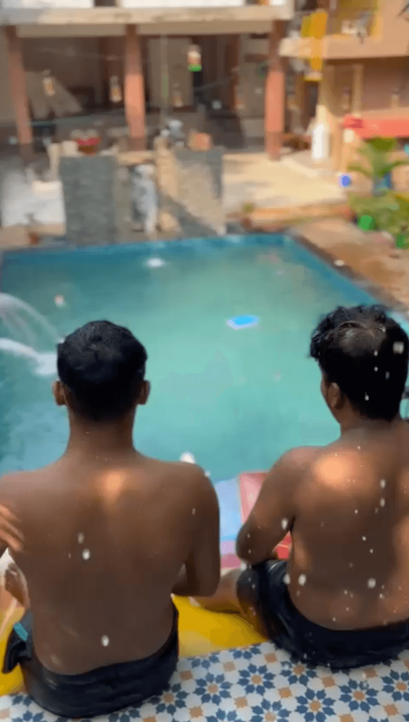 Pool and areca grove at Farm Areca De Goa